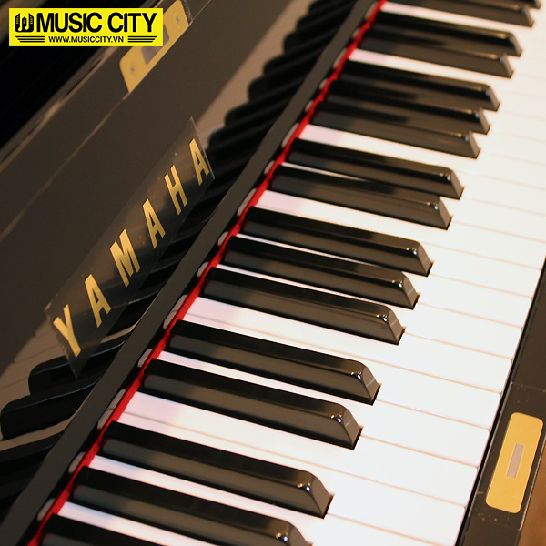 Music City – Tổng Kho Piano, Guitar, Organ | Dịch Vụ Giáo Dục Âm Nhạc