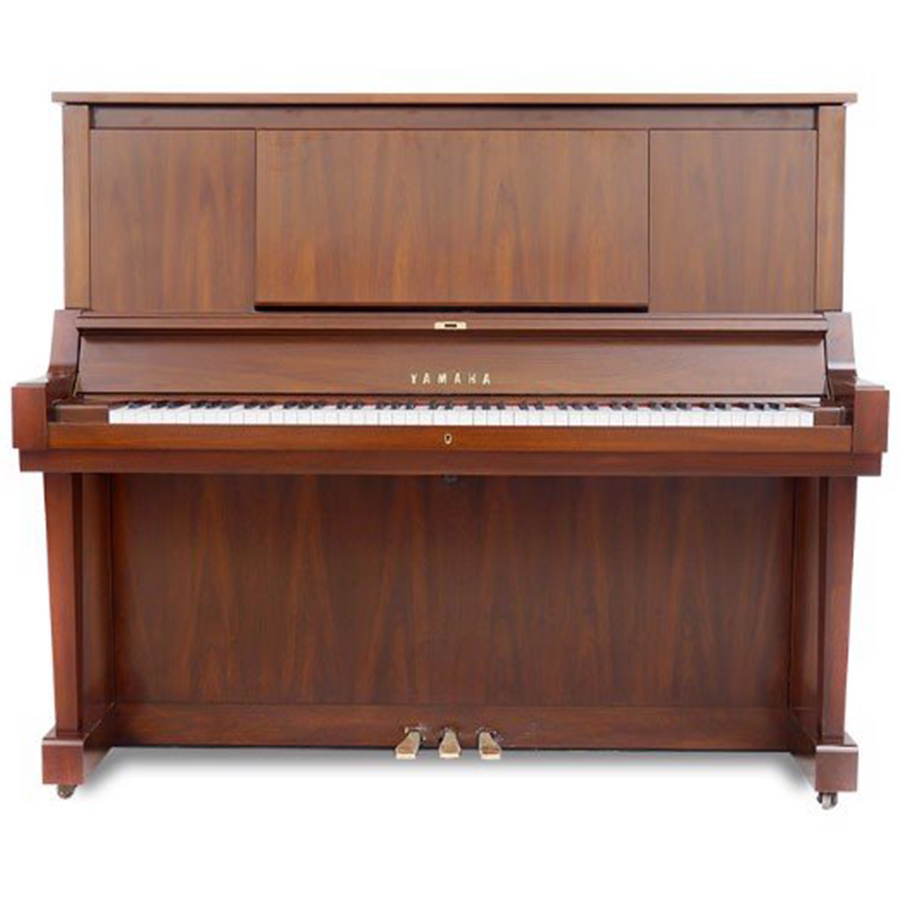 Music City – Tổng Kho Piano, Guitar, Organ | Dịch Vụ Giáo Dục Âm Nhạc