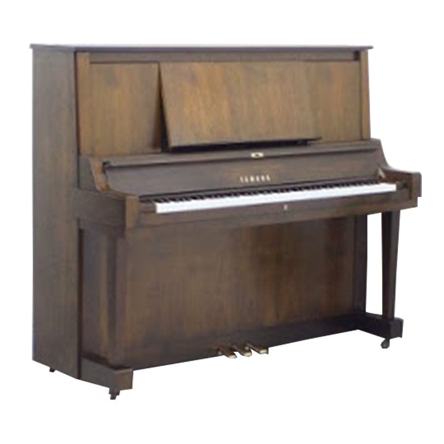 Music City – Tổng Kho Piano, Guitar, Organ | Dịch Vụ Giáo Dục Âm Nhạc