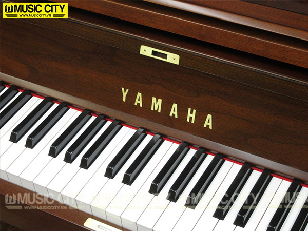 Music City – Tổng Kho Piano, Guitar, Organ | Dịch Vụ Giáo Dục Âm Nhạc