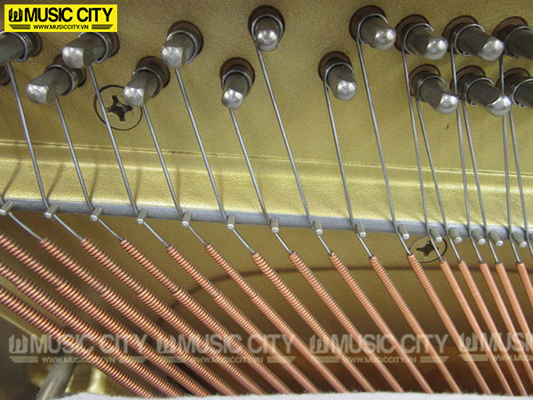 Music City – Tổng Kho Piano, Guitar, Organ | Dịch Vụ Giáo Dục Âm Nhạc