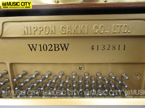 Music City – Tổng Kho Piano, Guitar, Organ | Dịch Vụ Giáo Dục Âm Nhạc