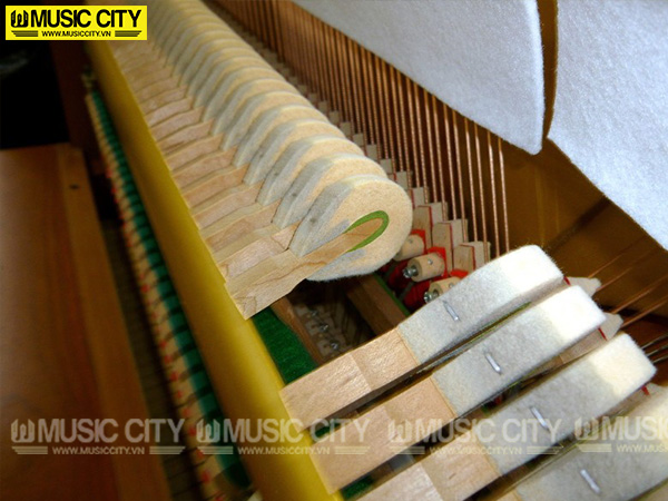 Music City – Tổng Kho Piano, Guitar, Organ | Dịch Vụ Giáo Dục Âm Nhạc