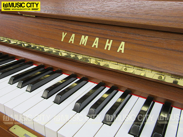 Music City – Tổng Kho Piano, Guitar, Organ | Dịch Vụ Giáo Dục Âm Nhạc