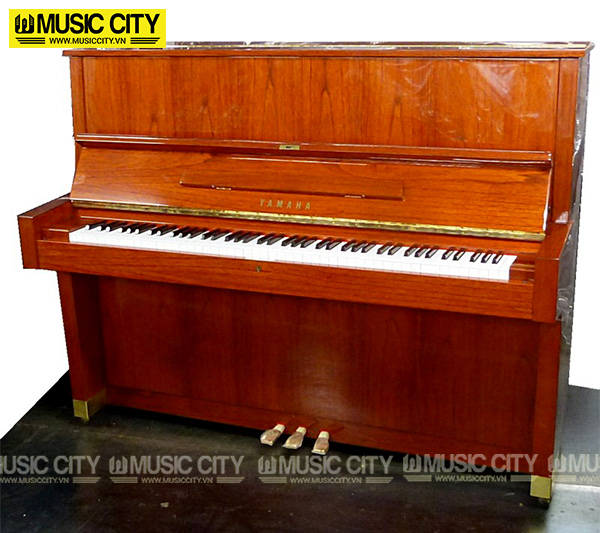 Music City – Tổng Kho Piano, Guitar, Organ | Dịch Vụ Giáo Dục Âm Nhạc
