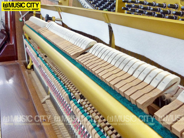 Music City – Tổng Kho Piano, Guitar, Organ | Dịch Vụ Giáo Dục Âm Nhạc