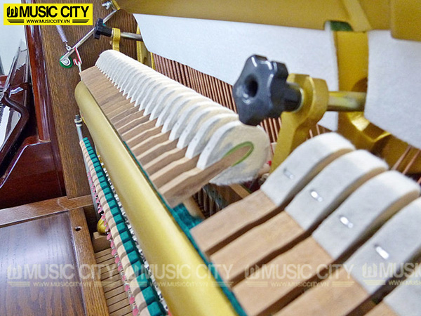 Music City – Tổng Kho Piano, Guitar, Organ | Dịch Vụ Giáo Dục Âm Nhạc