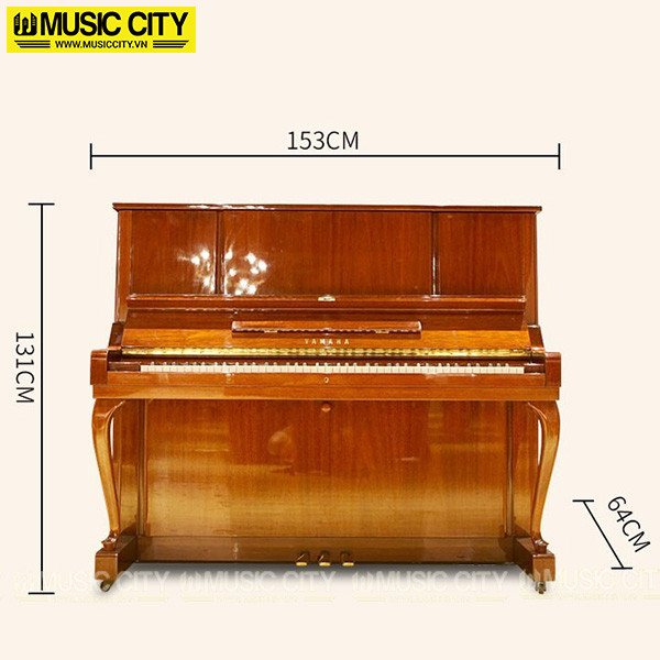 Music City – Tổng Kho Piano, Guitar, Organ | Dịch Vụ Giáo Dục Âm Nhạc