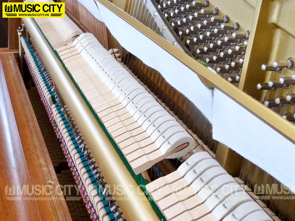 Music City – Tổng Kho Piano, Guitar, Organ | Dịch Vụ Giáo Dục Âm Nhạc