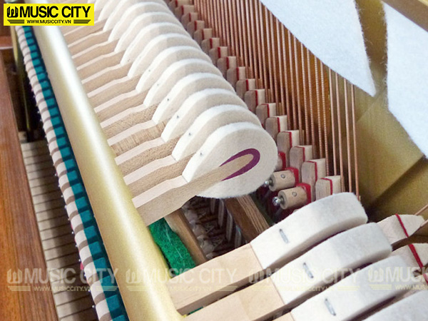 Music City – Tổng Kho Piano, Guitar, Organ | Dịch Vụ Giáo Dục Âm Nhạc