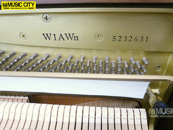 Music City – Tổng Kho Piano, Guitar, Organ | Dịch Vụ Giáo Dục Âm Nhạc
