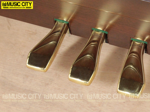 Music City – Tổng Kho Piano, Guitar, Organ | Dịch Vụ Giáo Dục Âm Nhạc