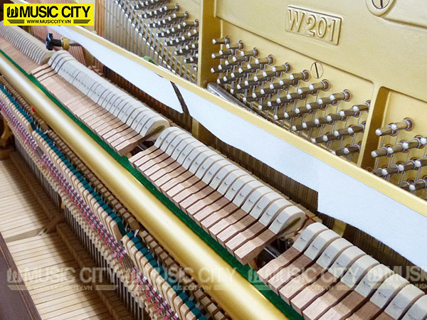 Music City – Tổng Kho Piano, Guitar, Organ | Dịch Vụ Giáo Dục Âm Nhạc