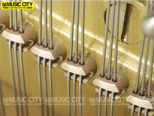 Music City – Tổng Kho Piano, Guitar, Organ | Dịch Vụ Giáo Dục Âm Nhạc
