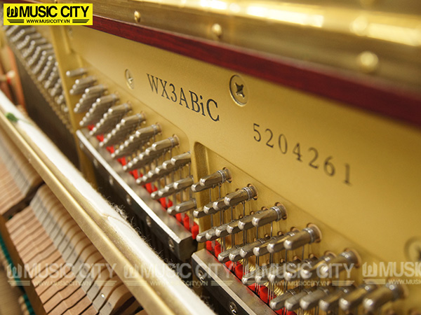 Music City – Tổng Kho Piano, Guitar, Organ | Dịch Vụ Giáo Dục Âm Nhạc