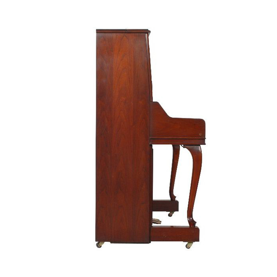 Music City – Tổng Kho Piano, Guitar, Organ | Dịch Vụ Giáo Dục Âm Nhạc