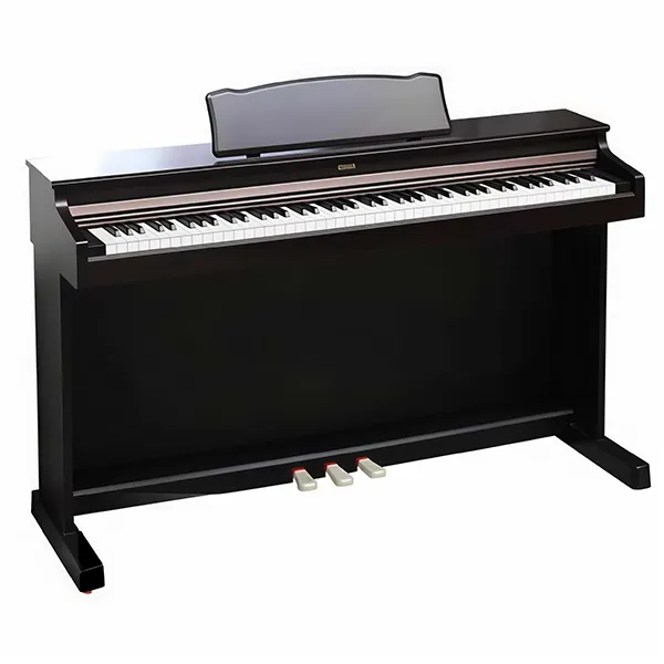 Music City – Tổng Kho Piano, Guitar, Organ | Dịch Vụ Giáo Dục Âm Nhạc