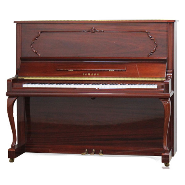 Music City – Tổng Kho Piano, Guitar, Organ | Dịch Vụ Giáo Dục Âm Nhạc