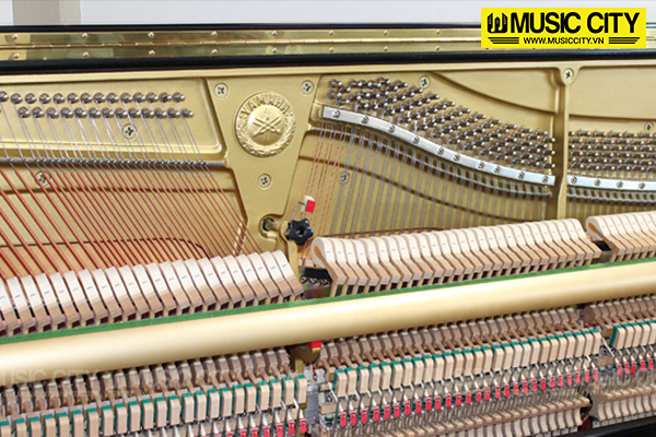 Music City – Tổng Kho Piano, Guitar, Organ | Dịch Vụ Giáo Dục Âm Nhạc