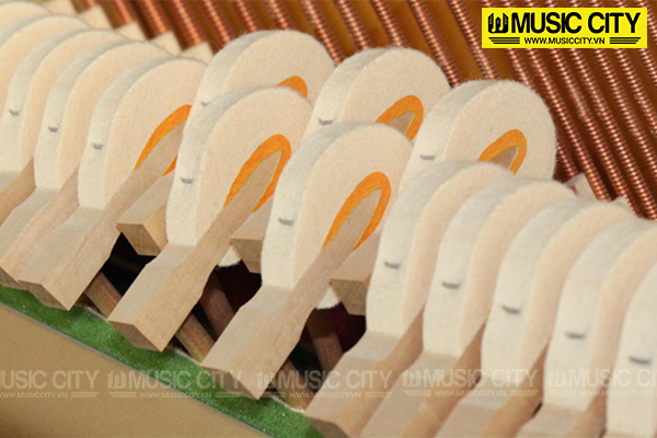 Music City – Tổng Kho Piano, Guitar, Organ | Dịch Vụ Giáo Dục Âm Nhạc
