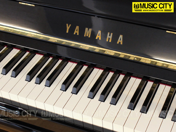 Music City – Tổng Kho Piano, Guitar, Organ | Dịch Vụ Giáo Dục Âm Nhạc