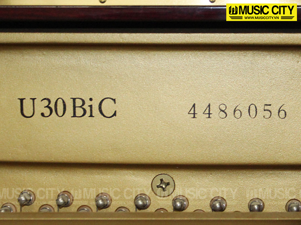 Đàn Piano Yamaha U30BiC - Ảnh 6
