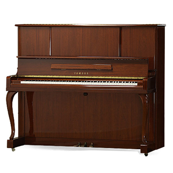 Music City – Tổng Kho Piano, Guitar, Organ | Dịch Vụ Giáo Dục Âm Nhạc