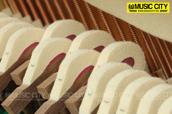 Music City – Tổng Kho Piano, Guitar, Organ | Dịch Vụ Giáo Dục Âm Nhạc