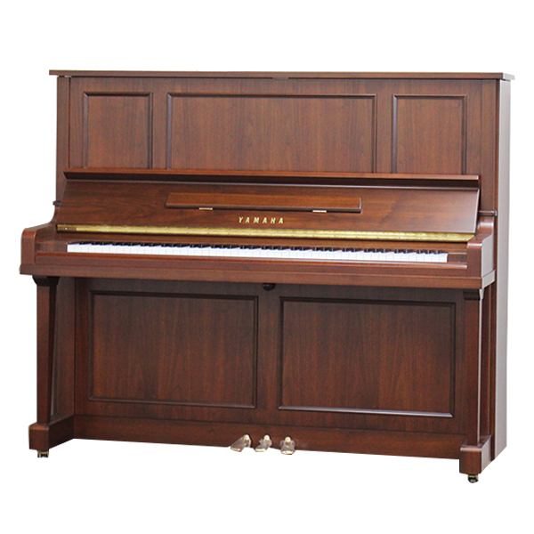 Music City – Tổng Kho Piano, Guitar, Organ | Dịch Vụ Giáo Dục Âm Nhạc