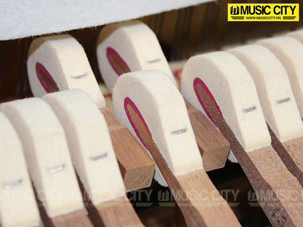 Music City – Tổng Kho Piano, Guitar, Organ | Dịch Vụ Giáo Dục Âm Nhạc