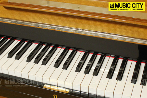 Music City – Tổng Kho Piano, Guitar, Organ | Dịch Vụ Giáo Dục Âm Nhạc