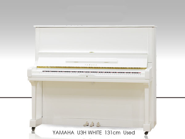 Music City – Tổng Kho Piano, Guitar, Organ | Dịch Vụ Giáo Dục Âm Nhạc