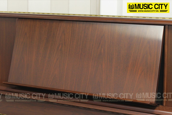 Music City – Tổng Kho Piano, Guitar, Organ | Dịch Vụ Giáo Dục Âm Nhạc