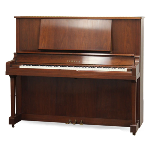 Music City – Tổng Kho Piano, Guitar, Organ | Dịch Vụ Giáo Dục Âm Nhạc