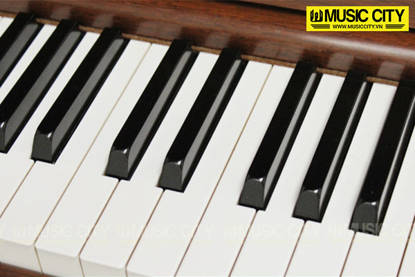 Music City – Tổng Kho Piano, Guitar, Organ | Dịch Vụ Giáo Dục Âm Nhạc
