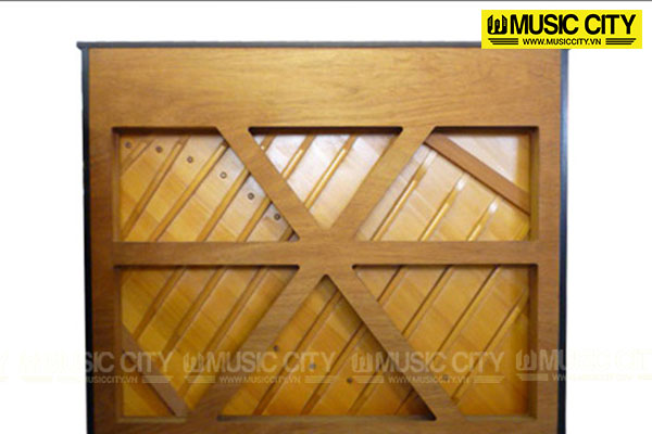 Music City – Tổng Kho Piano, Guitar, Organ | Dịch Vụ Giáo Dục Âm Nhạc