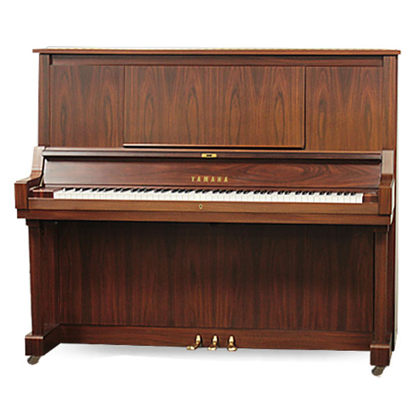 Music City – Tổng Kho Piano, Guitar, Organ | Dịch Vụ Giáo Dục Âm Nhạc