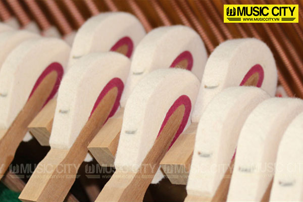 Music City – Tổng Kho Piano, Guitar, Organ | Dịch Vụ Giáo Dục Âm Nhạc