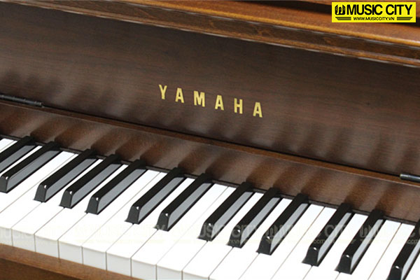 Music City – Tổng Kho Piano, Guitar, Organ | Dịch Vụ Giáo Dục Âm Nhạc
