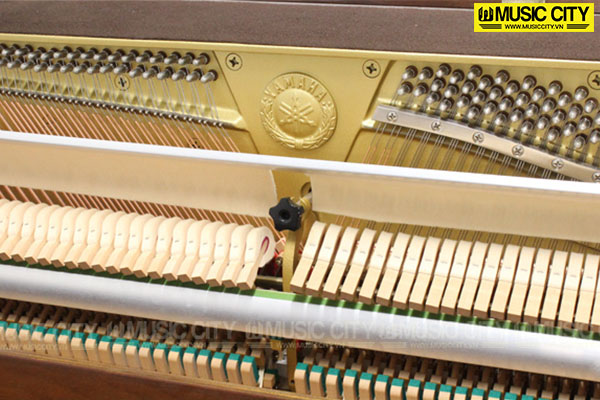 Music City – Tổng Kho Piano, Guitar, Organ | Dịch Vụ Giáo Dục Âm Nhạc