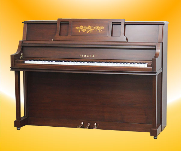 Music City – Tổng Kho Piano, Guitar, Organ | Dịch Vụ Giáo Dục Âm Nhạc