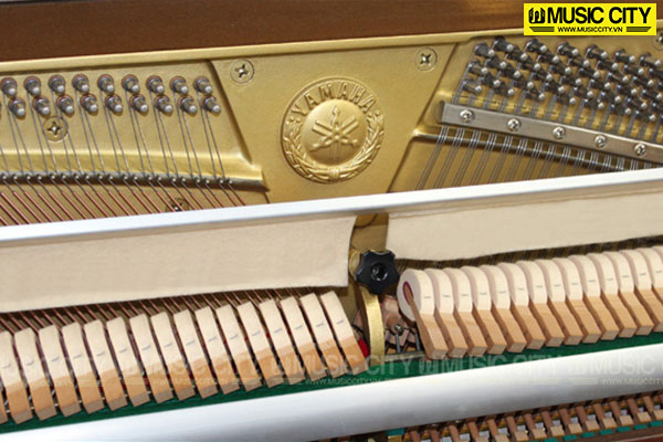Music City – Tổng Kho Piano, Guitar, Organ | Dịch Vụ Giáo Dục Âm Nhạc