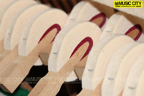 Music City – Tổng Kho Piano, Guitar, Organ | Dịch Vụ Giáo Dục Âm Nhạc