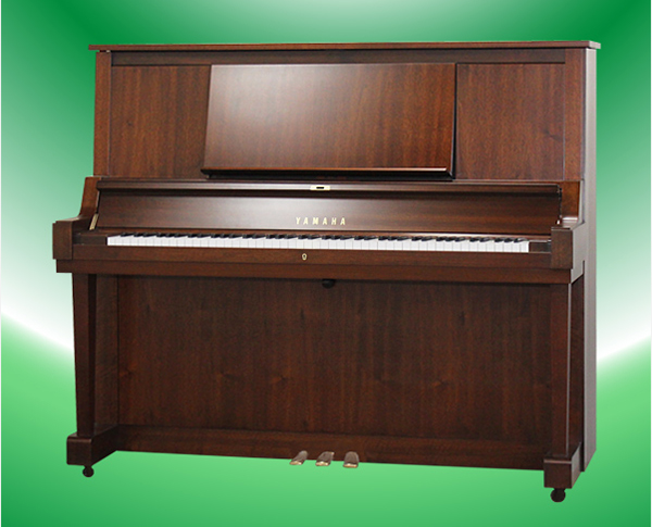 Music City – Tổng Kho Piano, Guitar, Organ | Dịch Vụ Giáo Dục Âm Nhạc