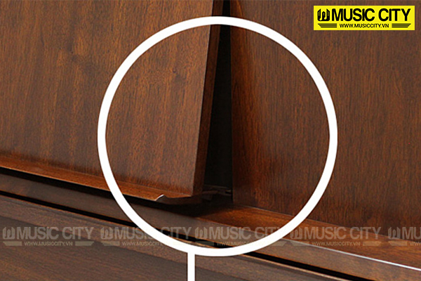 Music City – Tổng Kho Piano, Guitar, Organ | Dịch Vụ Giáo Dục Âm Nhạc