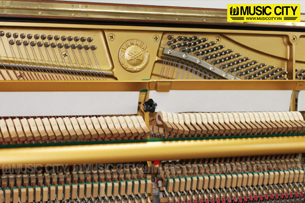 Music City – Tổng Kho Piano, Guitar, Organ | Dịch Vụ Giáo Dục Âm Nhạc