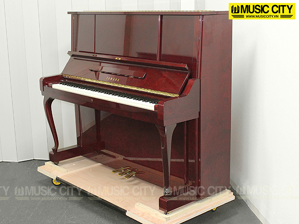 Music City – Tổng Kho Piano, Guitar, Organ | Dịch Vụ Giáo Dục Âm Nhạc