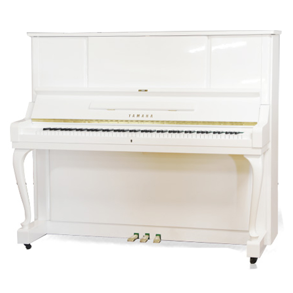 Music City – Tổng Kho Piano, Guitar, Organ | Dịch Vụ Giáo Dục Âm Nhạc