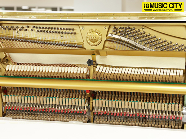 Music City – Tổng Kho Piano, Guitar, Organ | Dịch Vụ Giáo Dục Âm Nhạc