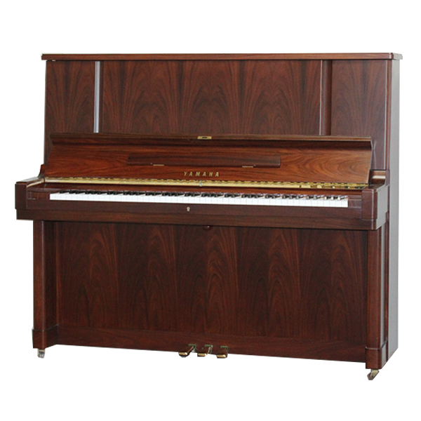 Music City – Tổng Kho Piano, Guitar, Organ | Dịch Vụ Giáo Dục Âm Nhạc